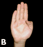 blowjob: sign language