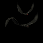 avatar: Halloween: Vampire Bats