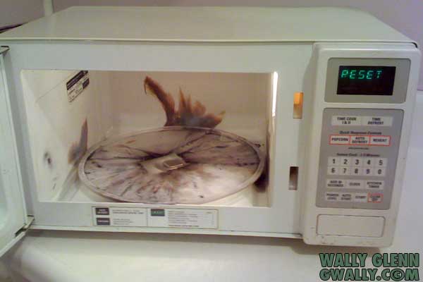 iPhone blows up in Microwave
