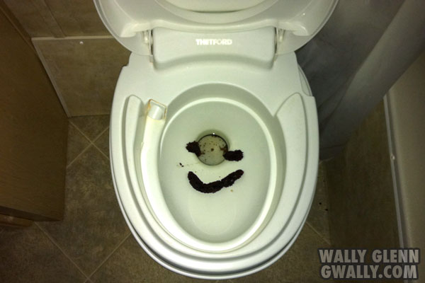 gwally: pranks: Smiling Turd in Toilet